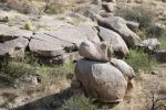 PICTURES/Sears-Kay Ruins/t_Animal Head ROck.JPG